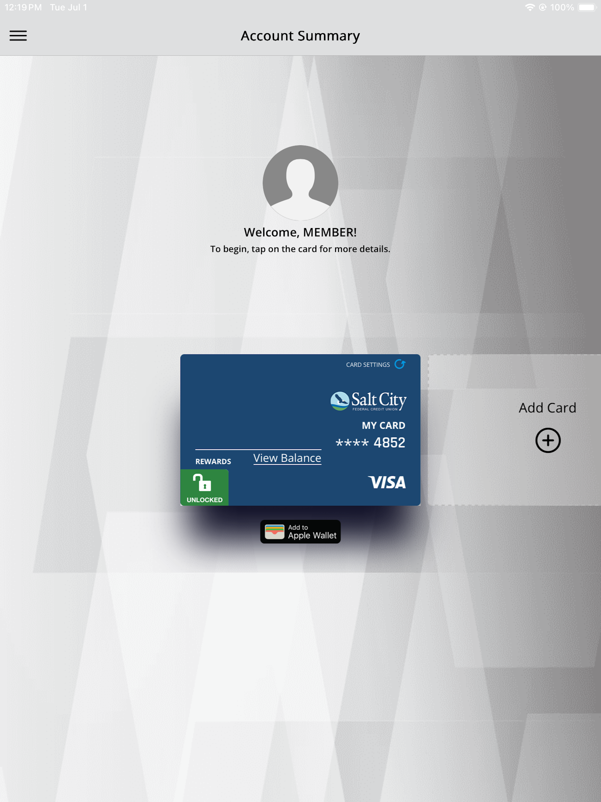 Salt City Visa