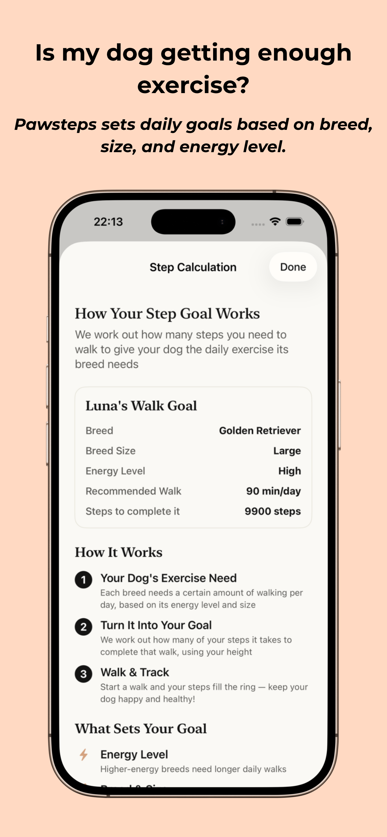 Pawstep screenshot 6