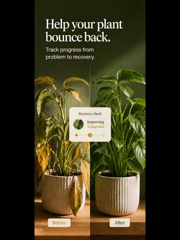 KnowYourPlant Plant Identifier iPad screenshot
