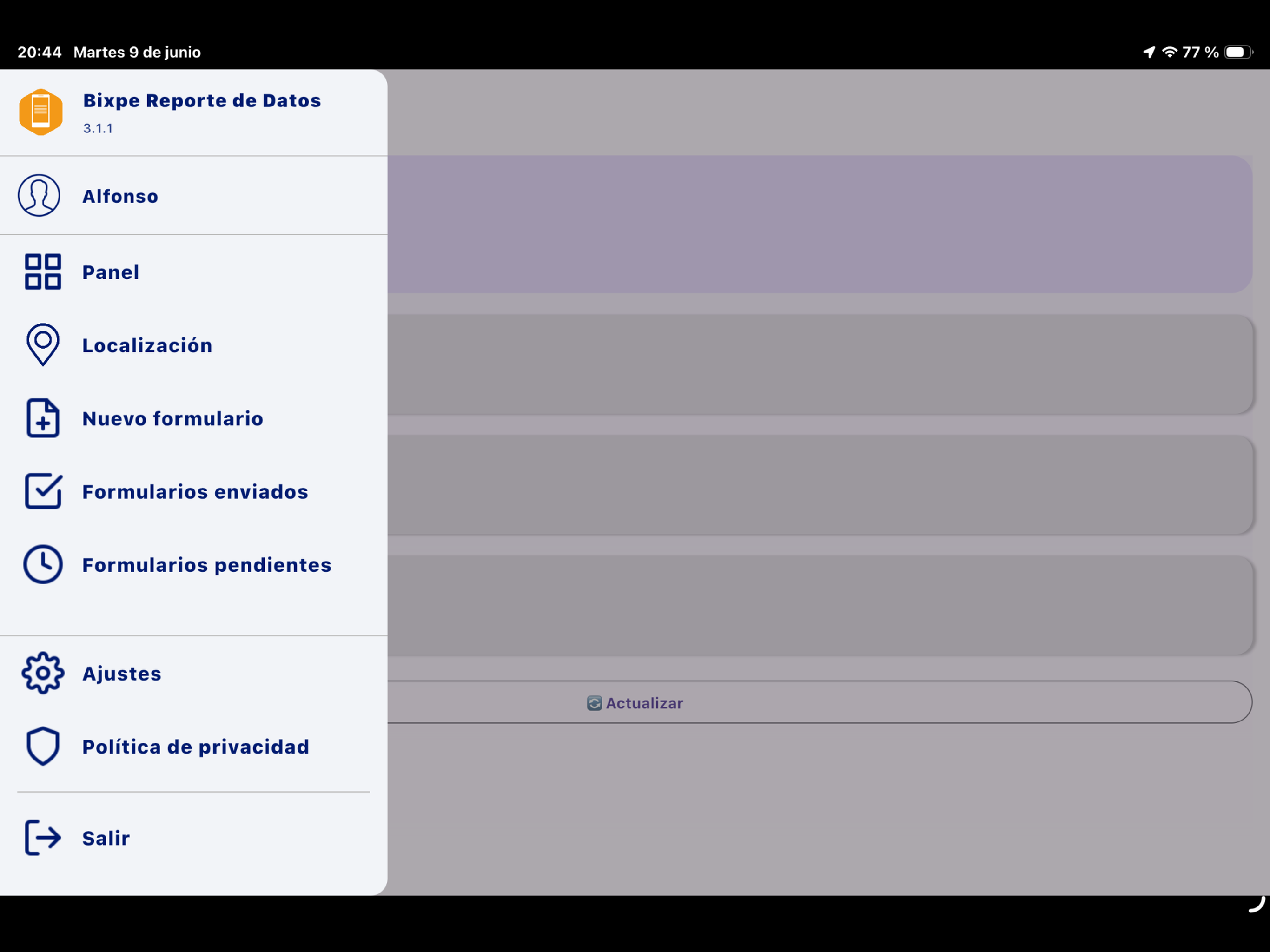 Bixpe Formularios online screenshot 8
