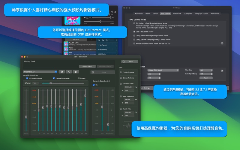 Pine Player Pro screenshot