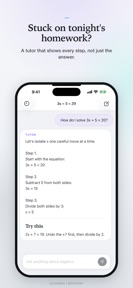 Algebra 1 Mastery: AI Tutor screenshot
