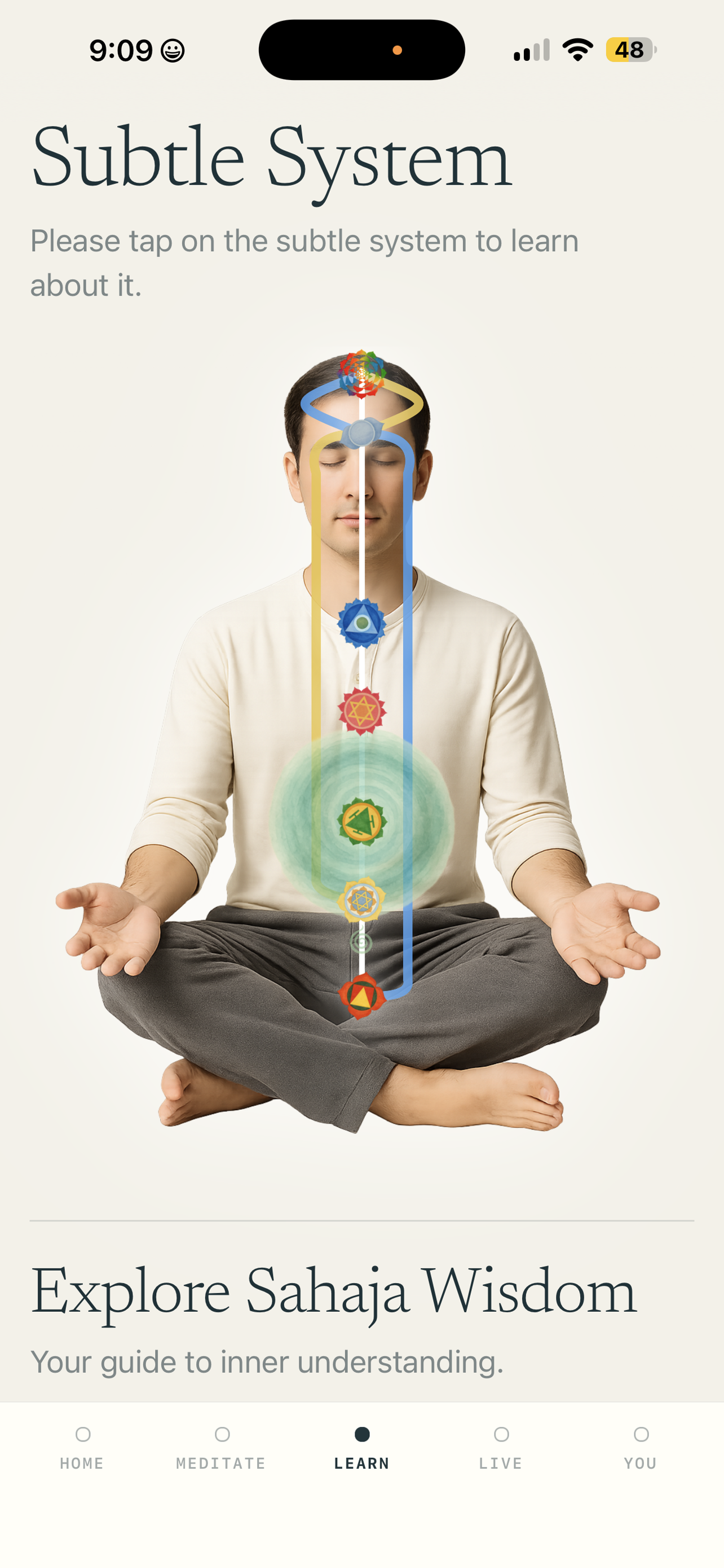 SahajaYoga-Meditation screenshot 9
