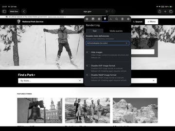 Web DevTools+ iPad screenshot 6