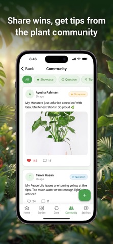 Bloom Meld - Plant Identifier Screenshot 6 of 8