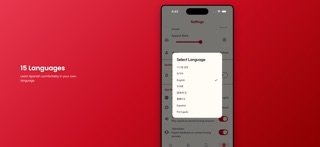 Spanish Grammar Words - Easy iPhone screenshot