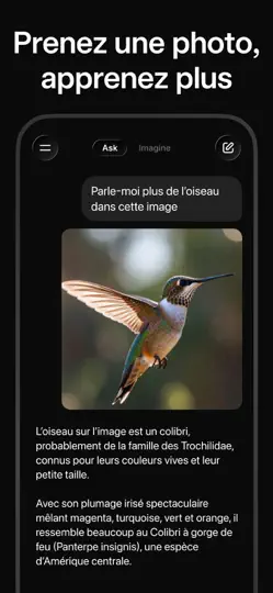 Capture d'écran de Grok - Assistant IA sur iPhone 6
