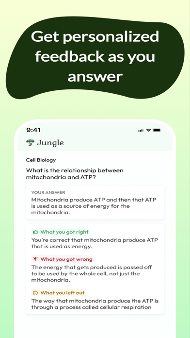 Jungle: AI Flashcards & Quiz Screenshot