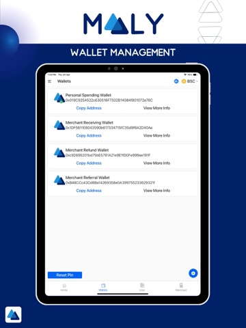 Maaly Wallet iPad screenshot