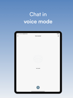 NobodyWho Chat screenshot 8