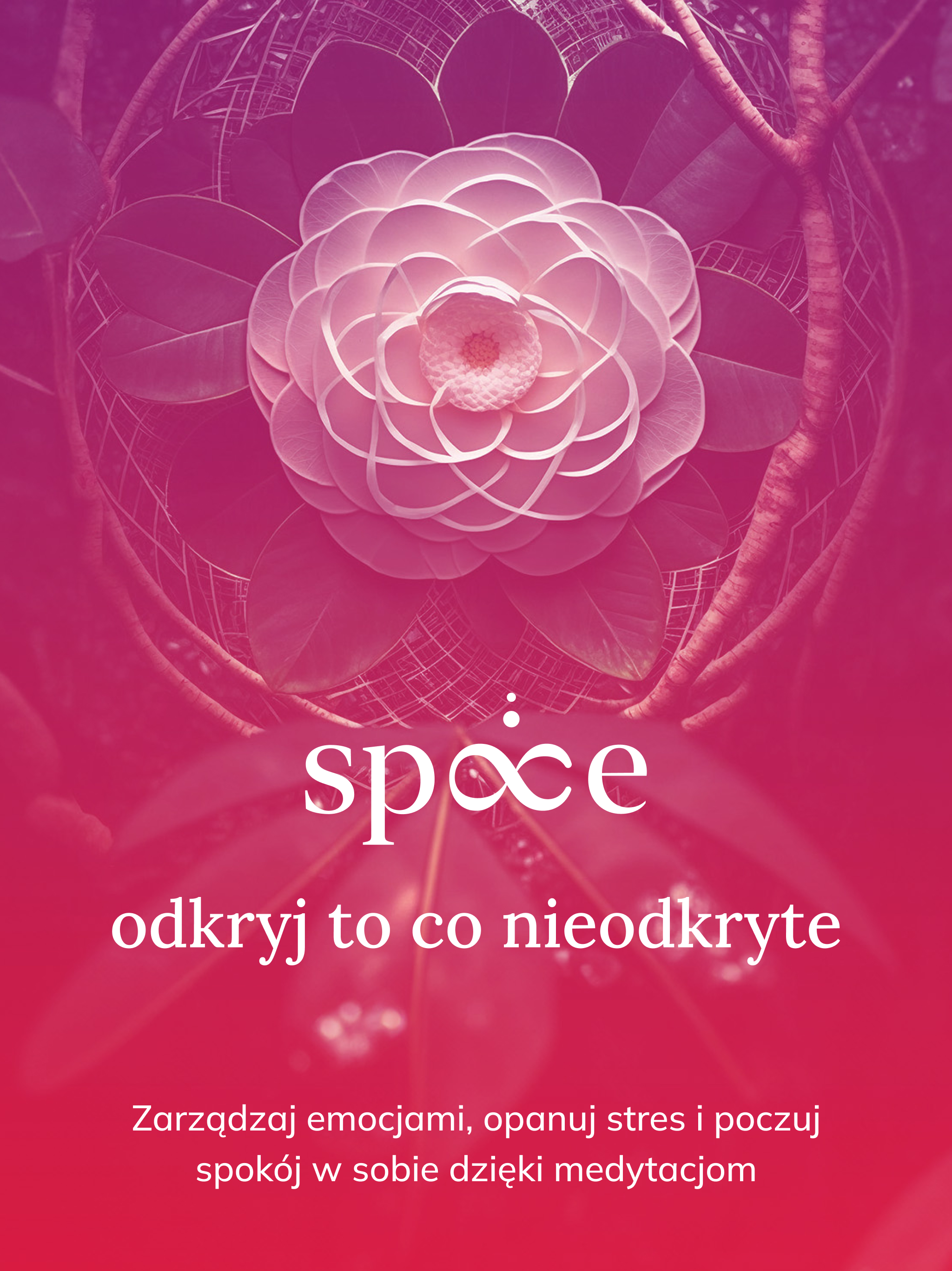 Space Meditation