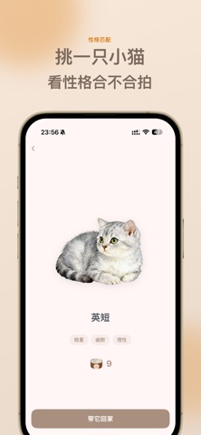 慵懒小猫 - 治愈虚拟宠物 screenshot
