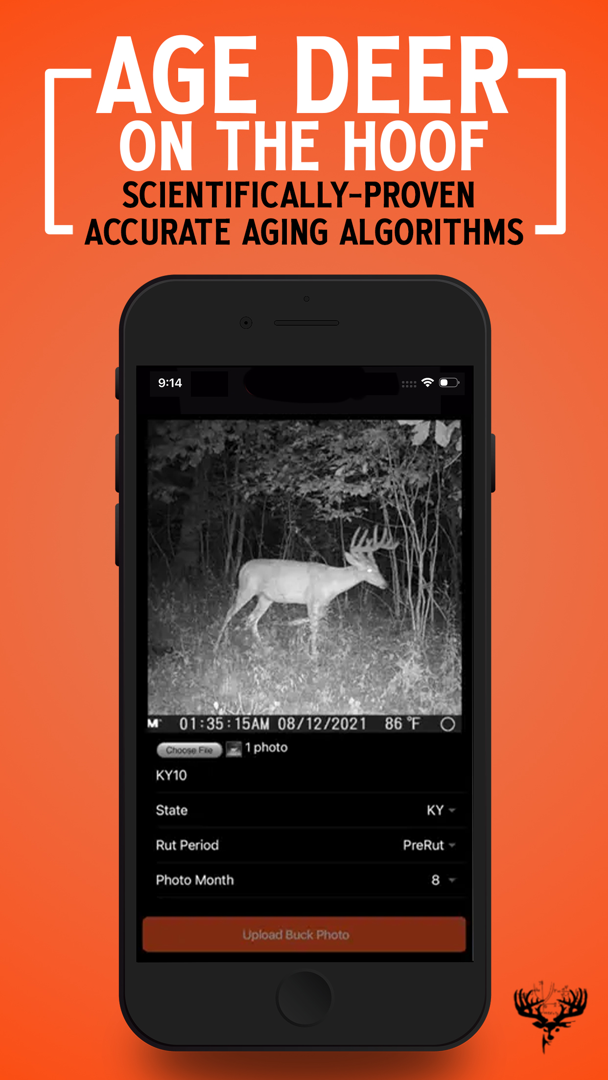 Ai Photo Generator - Sorai