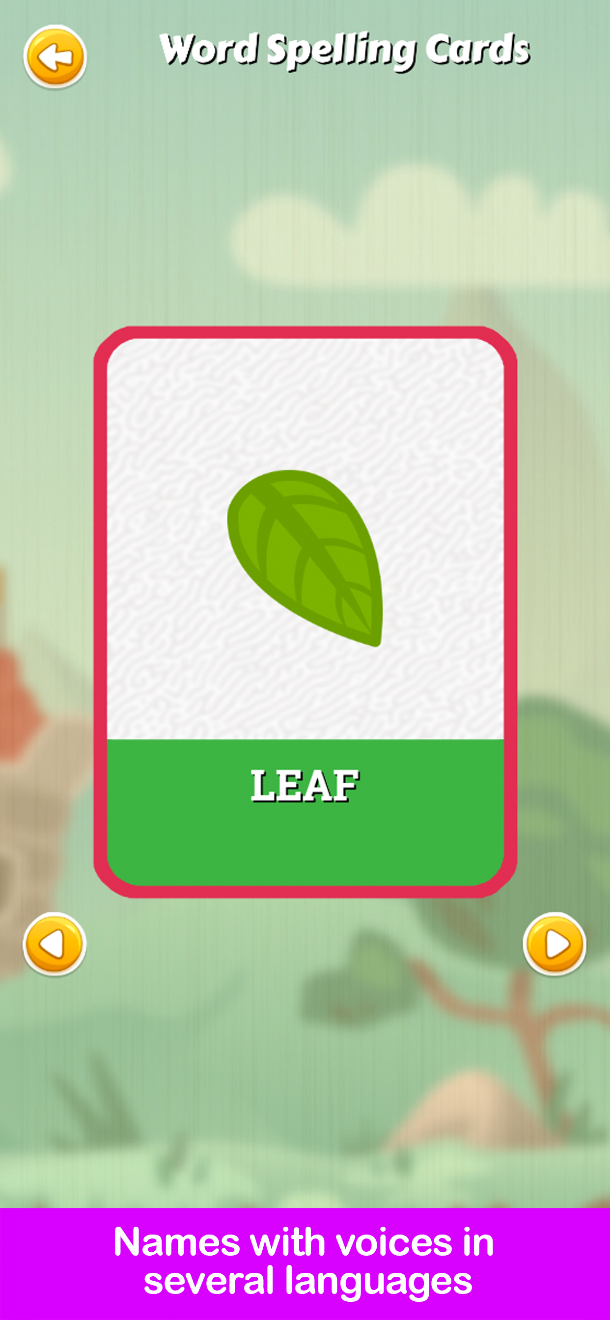 Spelling Quest – Picture Words