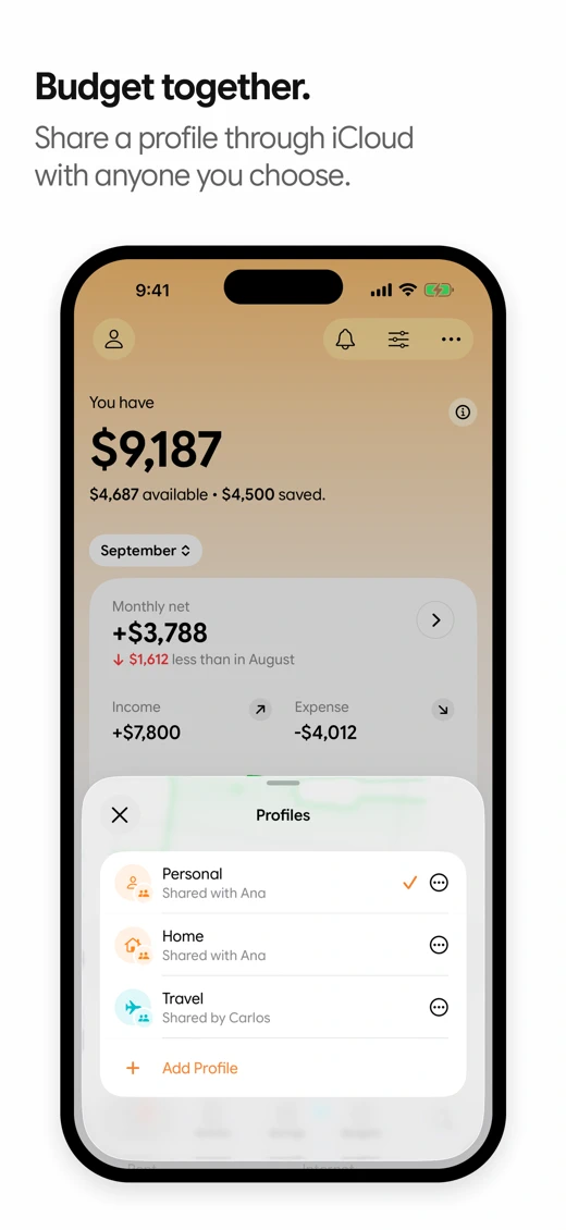 Lucia: Budget & Expenses screenshot 4