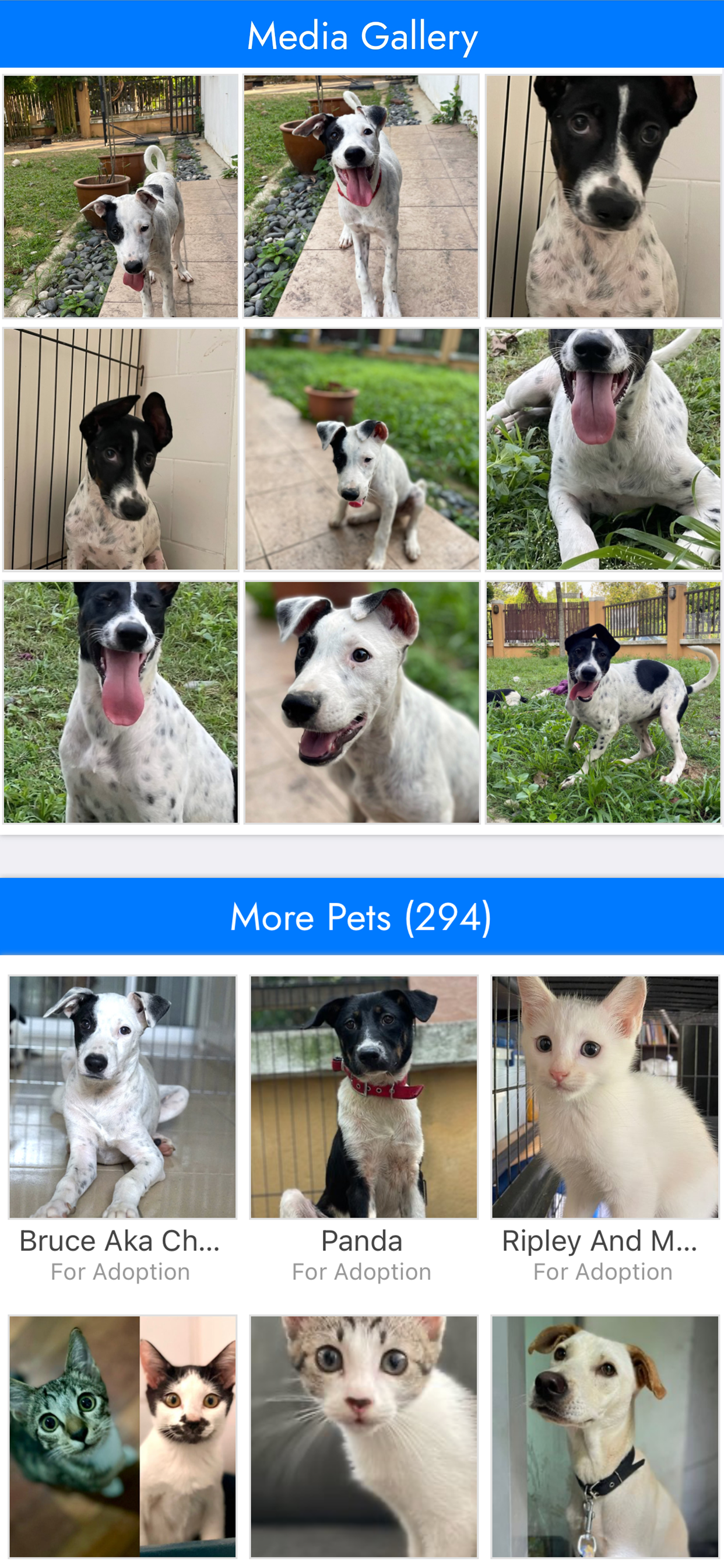 PetFinder.my
