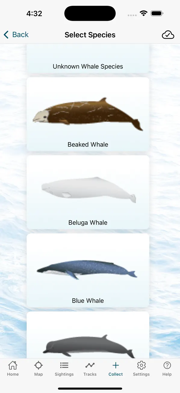 Screenshot #3 pour Whale and Dolphin Tracker