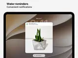 plant-daddy-water-reminders 2