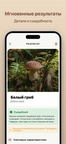 Грибы: Определитель iPhone screenshot 2