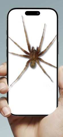 Mouse on Screen Scary Joke iPhone screenshot