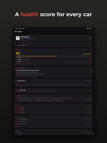 Pistonly: AI Car Diagnostics iPad screenshot