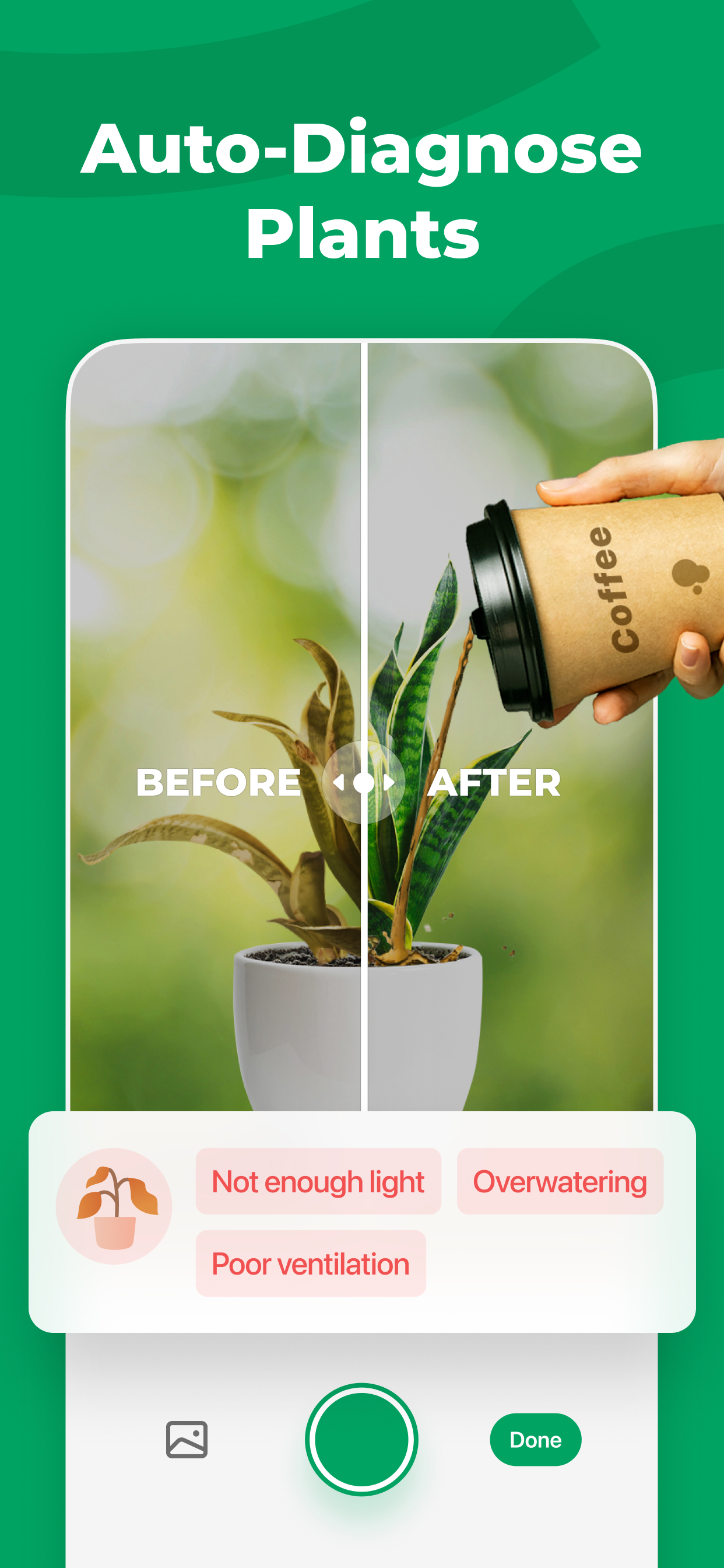 PictureThis - Plant Identifier