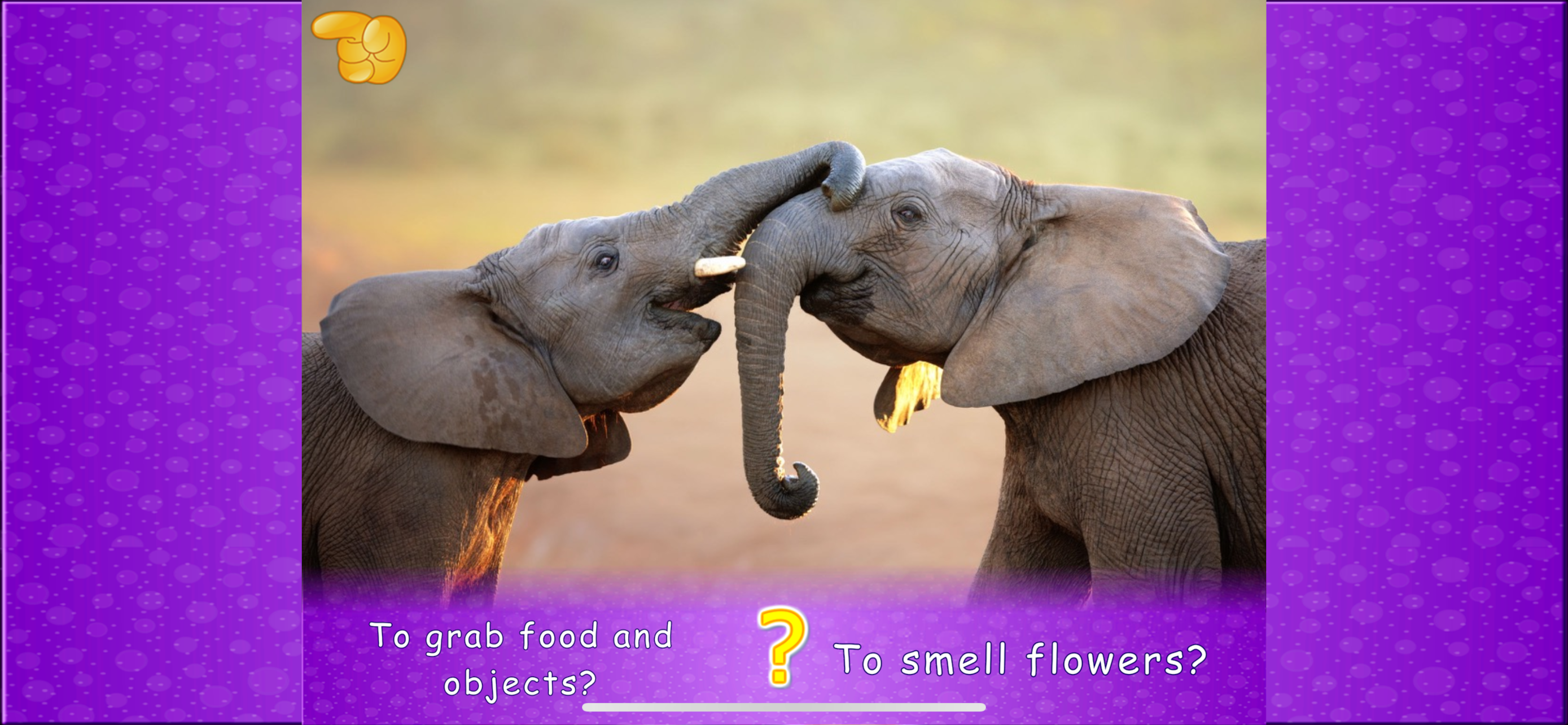 Animal picture games for kids screenshot 6