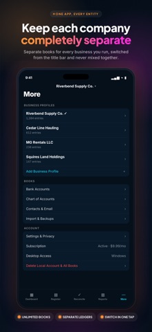 Ledgerlyne: Bookkeeping Screenshot 8 of 10