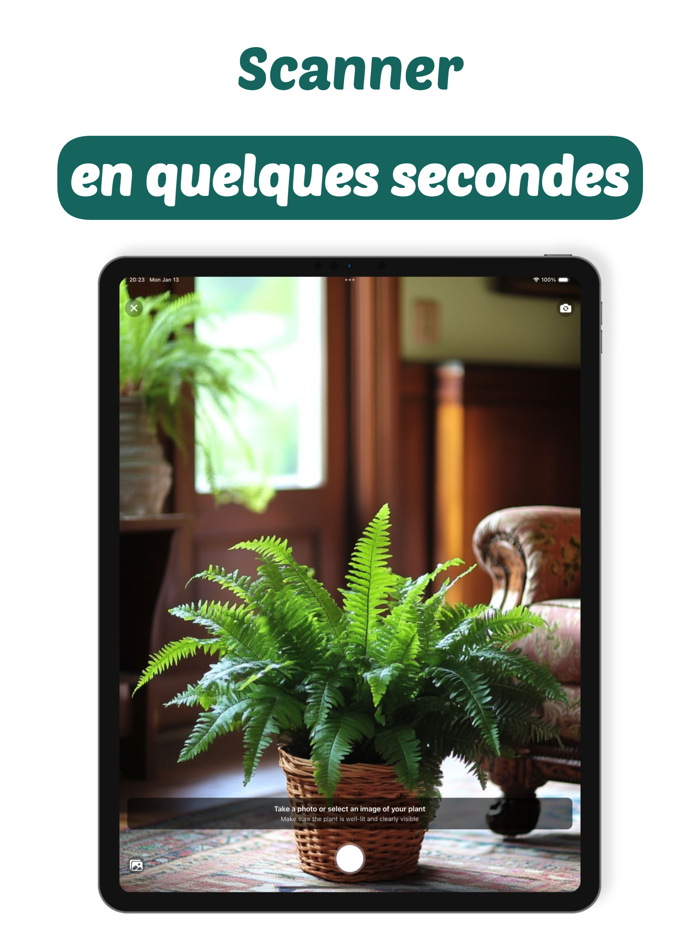 Plant Identifier PlantCam