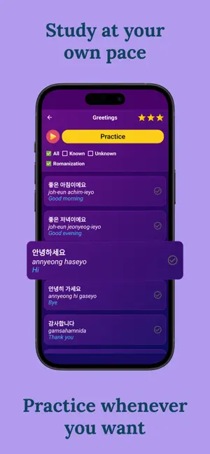 Learn Korean (Beginners) screenshot 3