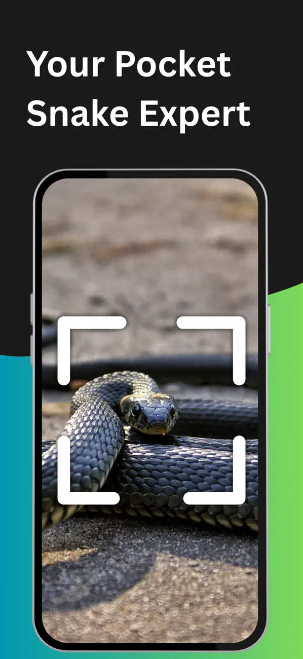 #2. Snake Identifier: Scanner (iOS) Ved: Ivan Trajanovski