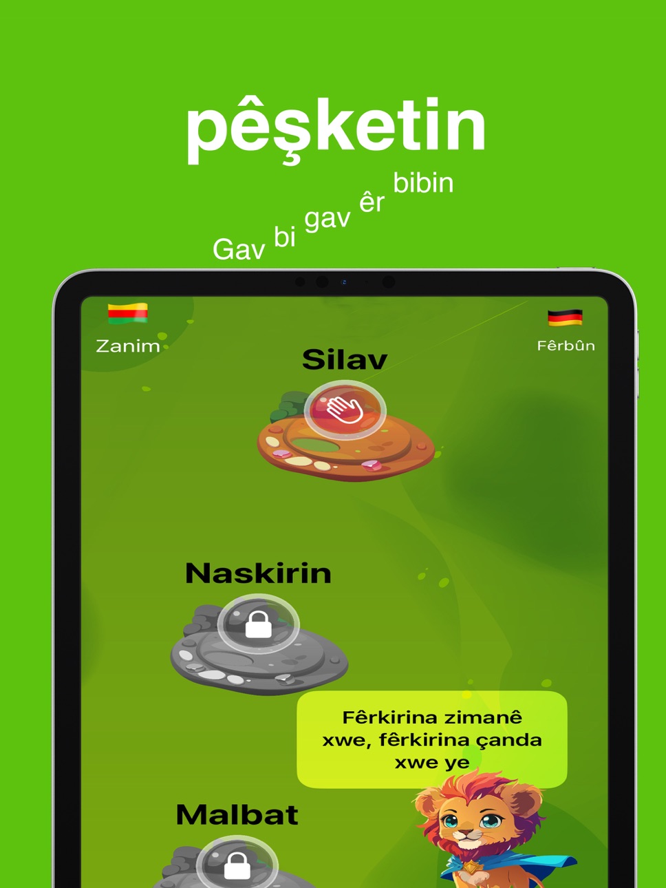 iPad screenshot