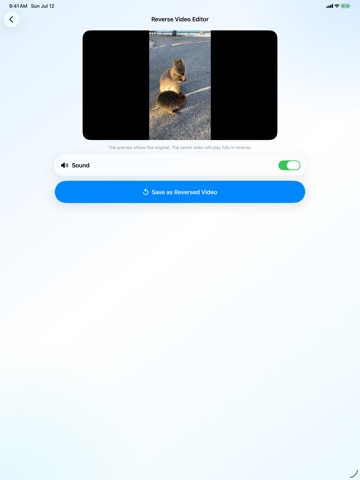 Reverse Video Edito‪r‬ iPad screenshot