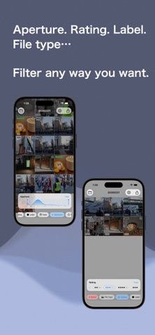 BridgeLite screenshot