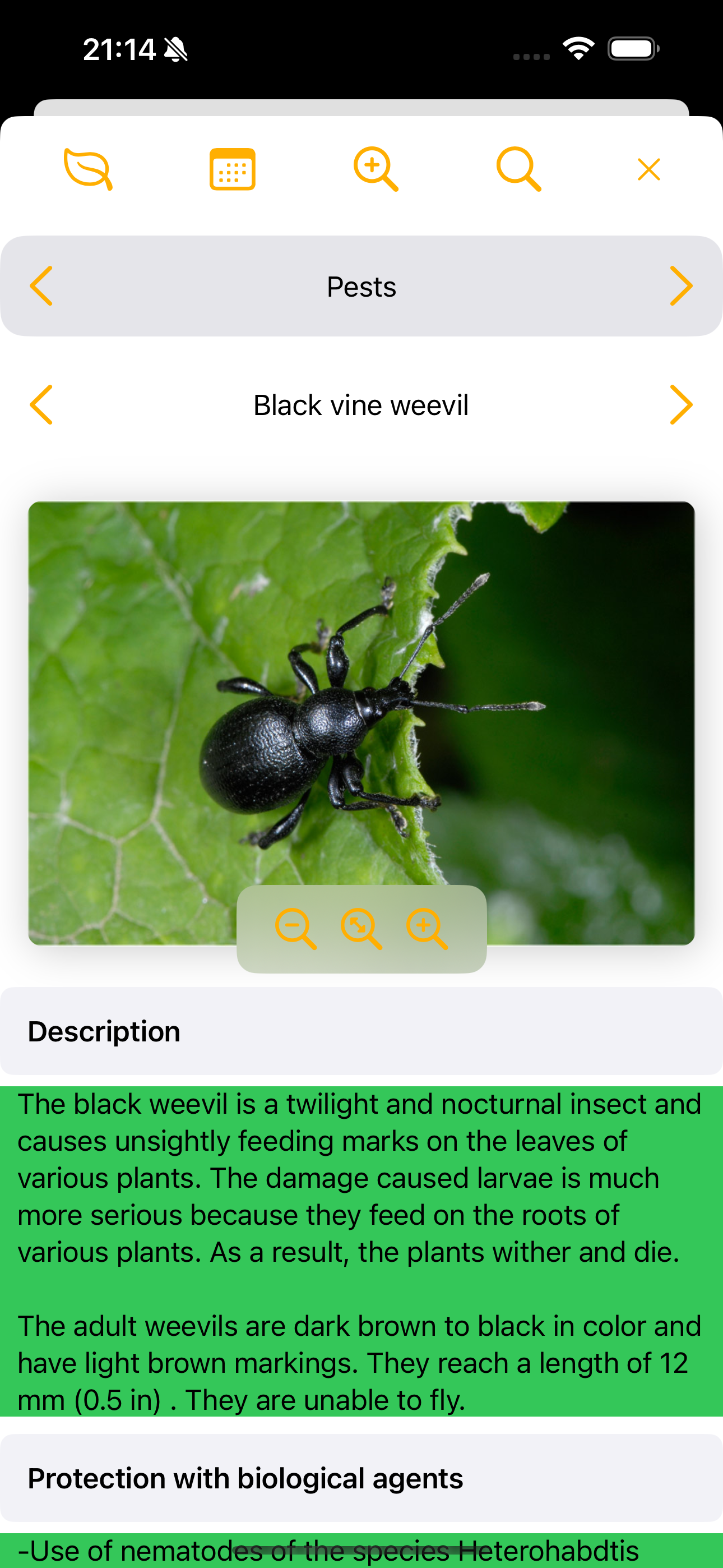Mein Garten Tagebuch