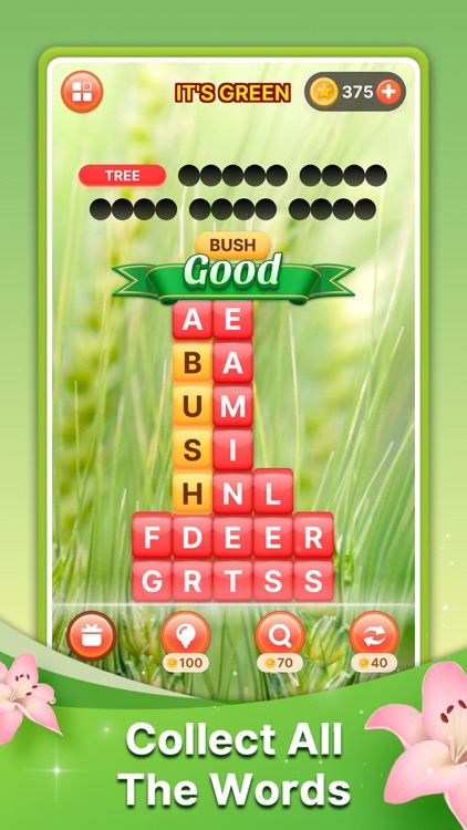 Word Search: Word Find Puzzle