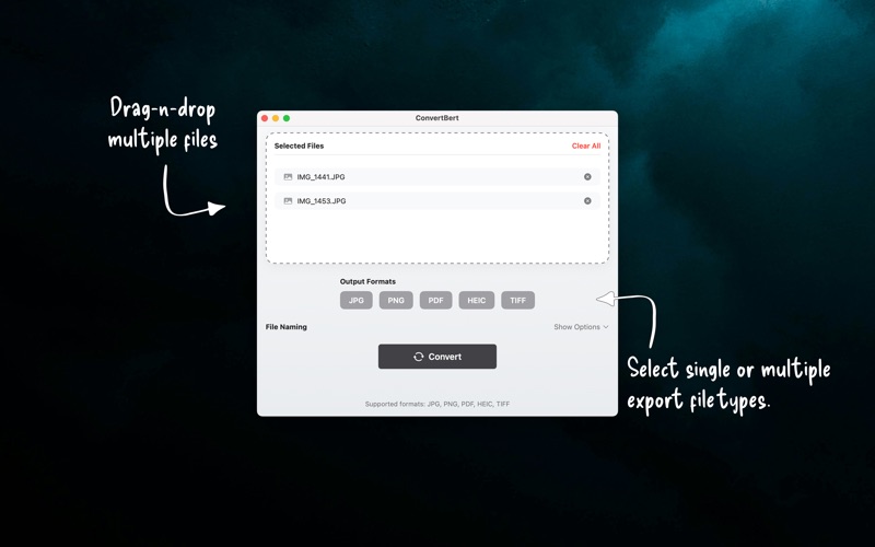 ConvertBert screenshot