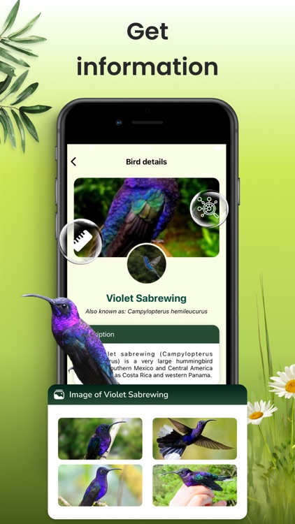 Bird Identifier: Aves Sound ID screenshot-4