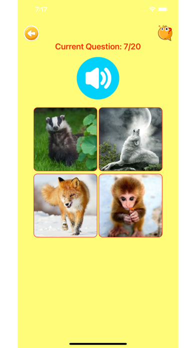 Learn Slovak Vocabulary Screenshot