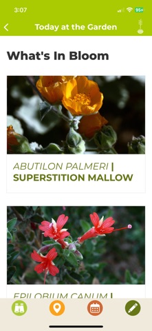 Desert Botanical Garden Mobile Screenshot 3 of 6