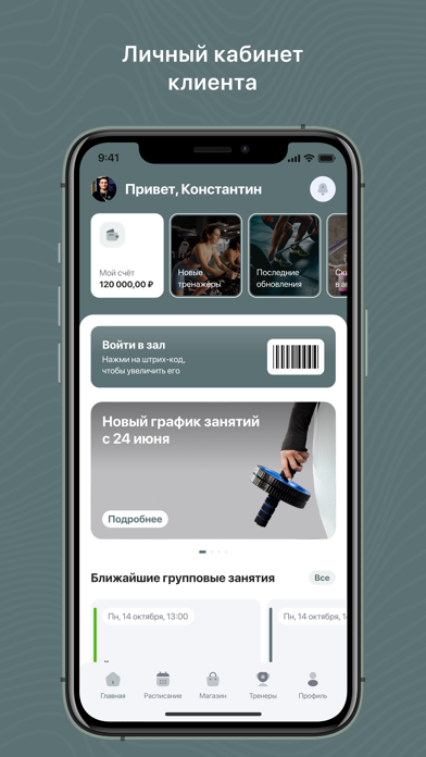 Академия льда screenshot