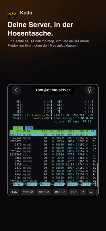 Kodo: editor código IA · IDE screenshot 2 of 8