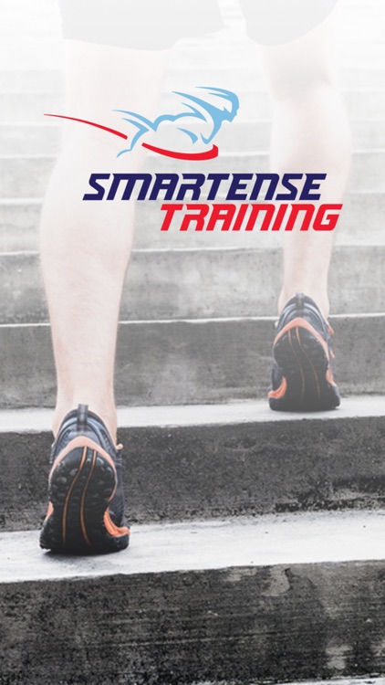 SmarTense Training