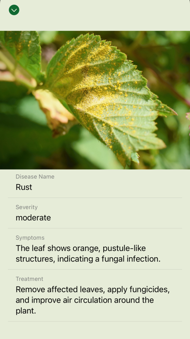 Identify Plant: Disease Care Screenshot