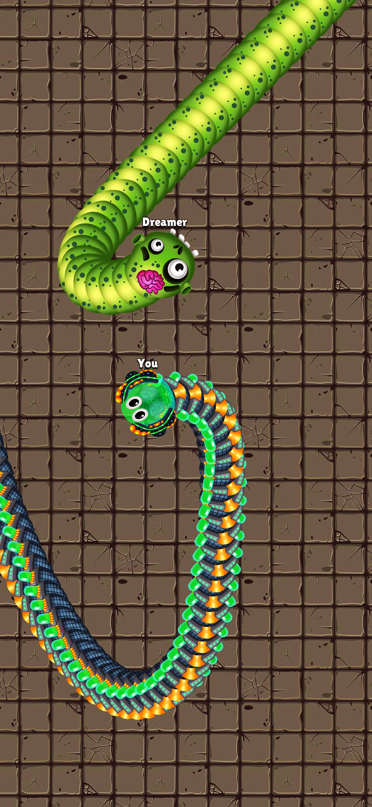 Snake Arena: Battle Royale
