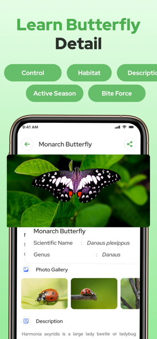 Butterfly Identifier Screenshot 2 of 4