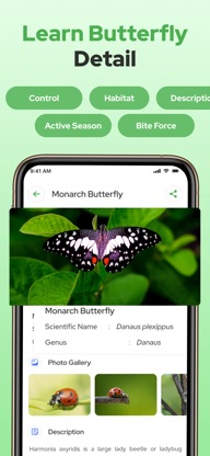 Butterfly Identifier screenshot 2