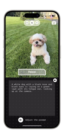 AIVizion screenshot