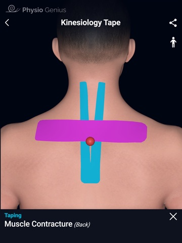 Physio Genius – 3D Maps iPad screenshot