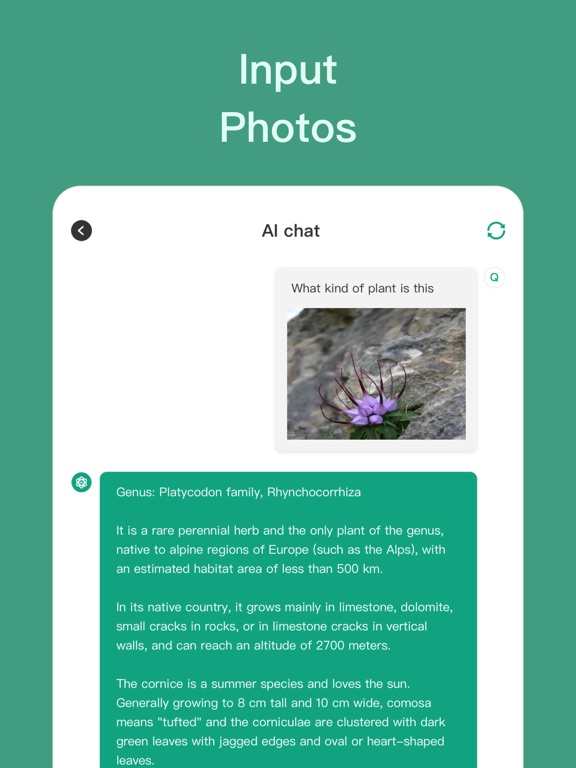 AI Chatbot Assistant - AI Bot iPad screenshot 3 - Productivity app